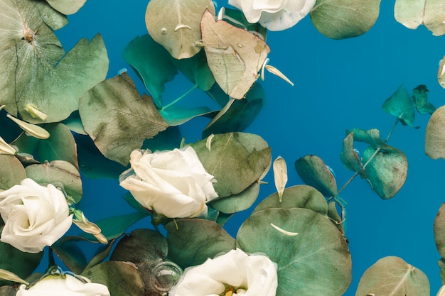 Leaves and Petals Floating in Blue Water – Free Stock Photo for Download