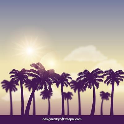 Modern Tropical Background with Realistic Design – Free Download