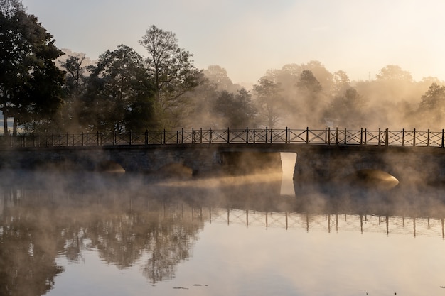 Stunning Concrete Arch Bridge Over Foggy Lake Surrounded by Trees – Free Download