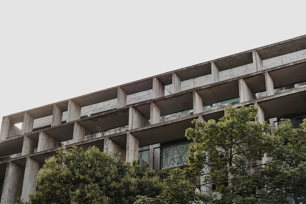 Low Angle View of Urban Concrete Structure Surrounded by Trees – Free Stock Photo for Download