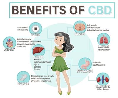 Benefits of CBD for Physical Health Diagram – Free Download