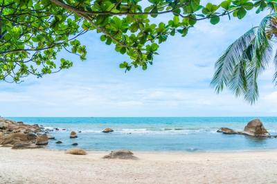 Stunning Tropical Beach Scene on Samui Island with Coconut Palm Trees – Free Download