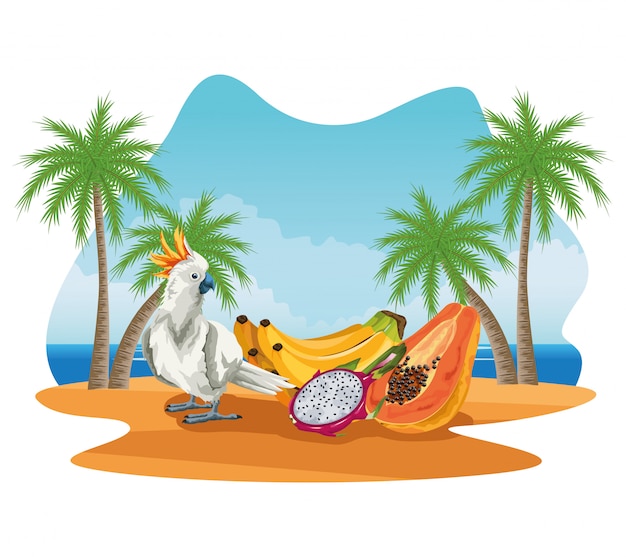 Summer Vacations and Beach Cartoons – Free to Download