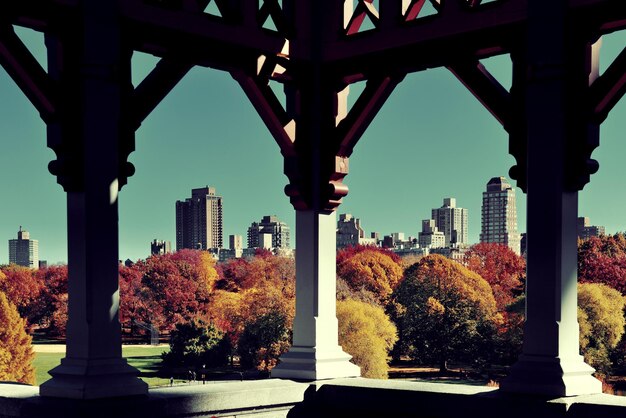 Autumn in Central Park with Midtown Skyline – Free Stock Photo for Download