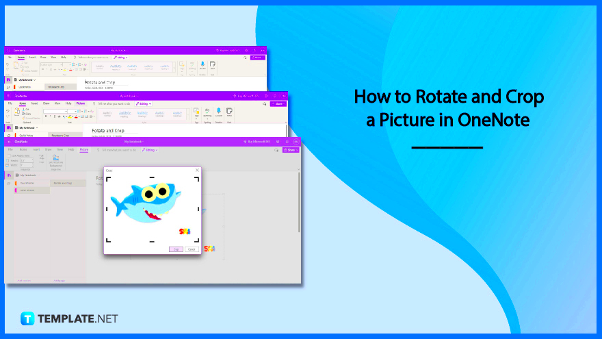 How to Rotate and Crop a Picture in OneNote