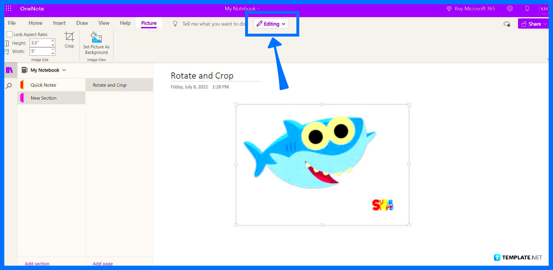 How to Rotate and Crop a Picture in OneNote