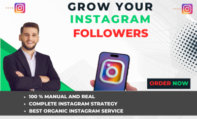 I will promote, manage and grow your instagram account organically