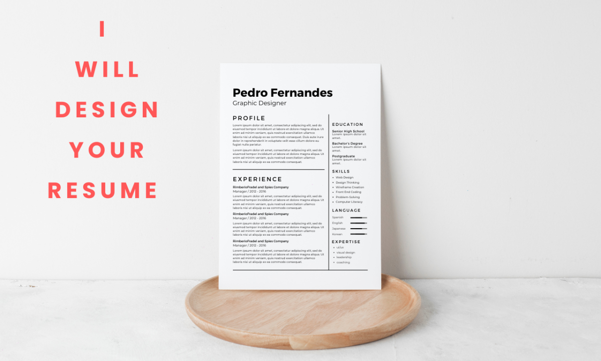 i will design canva professional portfolio, resume, CV