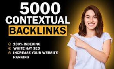 I will build SEO traffic profile adultity backlinks white hat dofollow