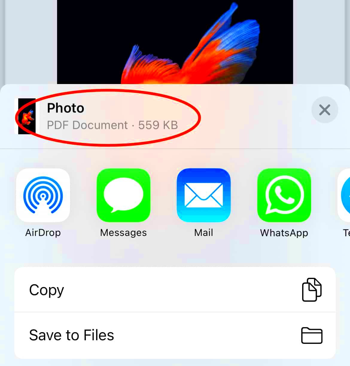 How to convert photos to PDF on iPhone iPad