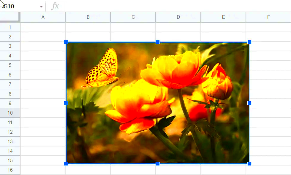 How to Copy image from google sheets to google docs  Easy Guide   2023