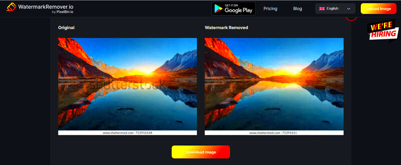 3 Shutterstock Watermark Removers to Get Rid of Watermarks