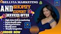 I Will Provide Sellvia Shopify Marketing and Promotion to Boost Your Sales