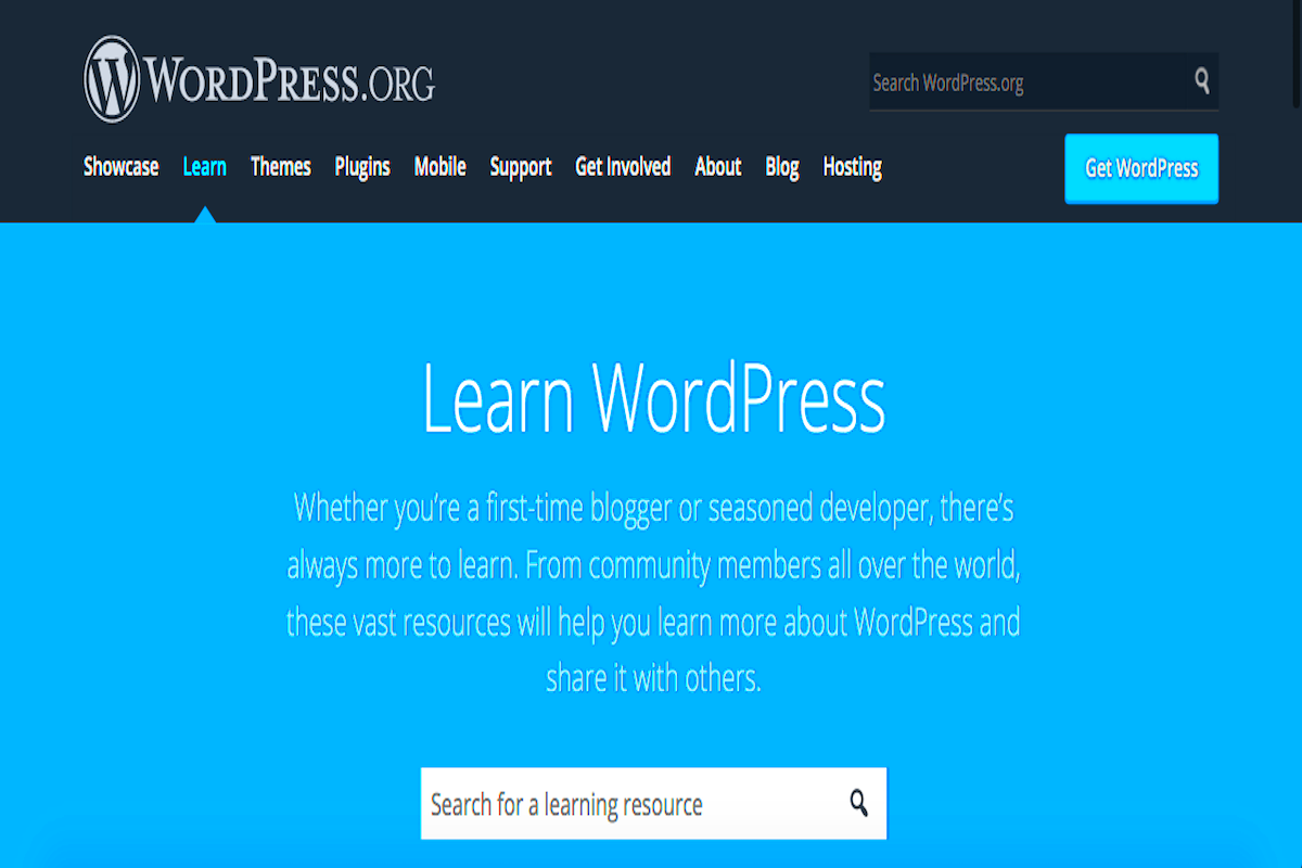 17 Benefits Of Learning WordPress No Coding Necessary  WP Website Tools