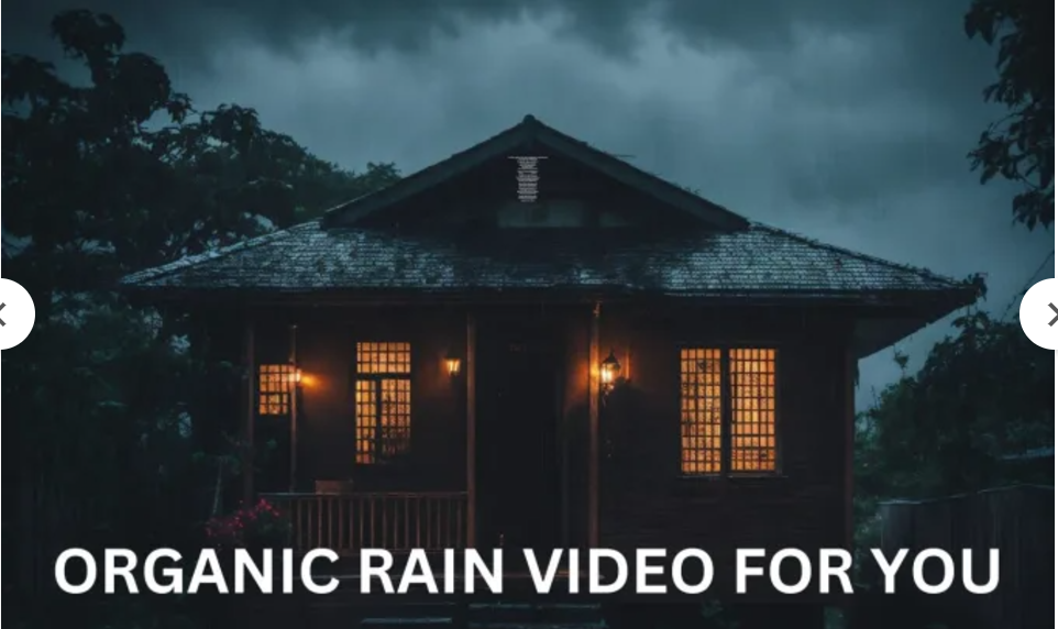 I Will Make a Captivating Rain Video for Your YouTube Nature Channel