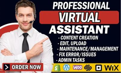 I Will Be Your Expert WordPress Virtual Assistant (WordPress VA)