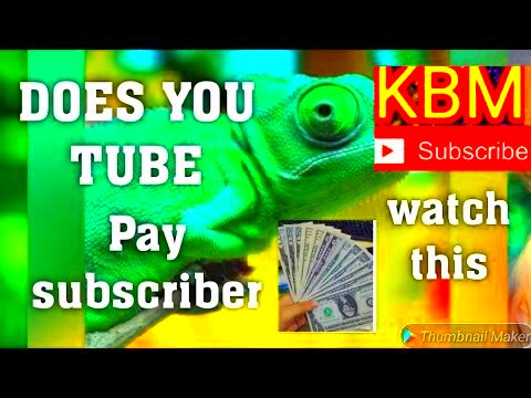 Does you tube pay for the subscribers  how important a subscribers 