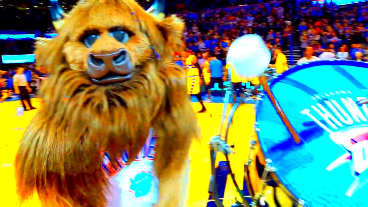 Rumble the Bison  Oklahoma City Thunder  SportMascotscom