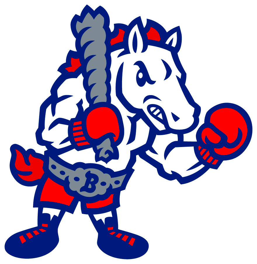 Rocking Horse The Story Behind the Binghamton Rumble Ponies 