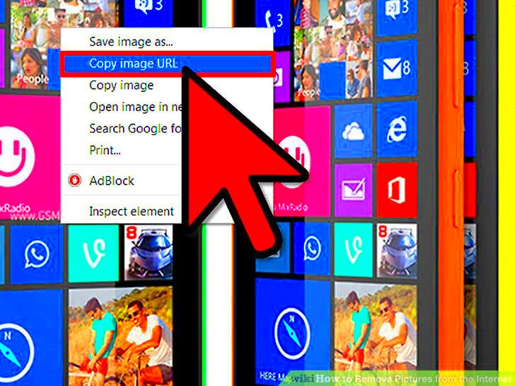 How to Remove Pictures from the Internet 8 Steps with Pictures