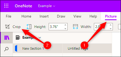 How to Crop a Picture in Microsoft OneNote