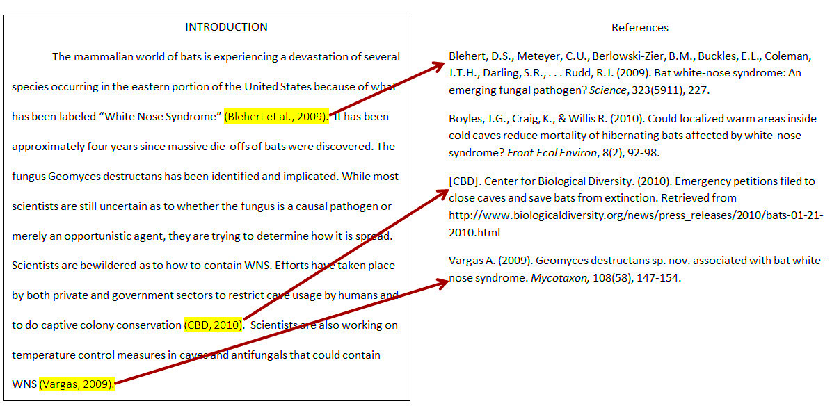 How to insert a citation in a paper  mailple