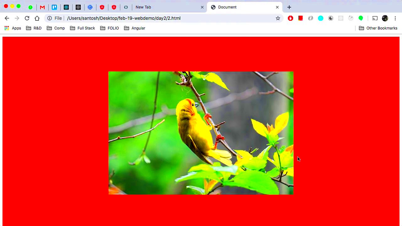 22 How to center align an image in HTML  YouTube