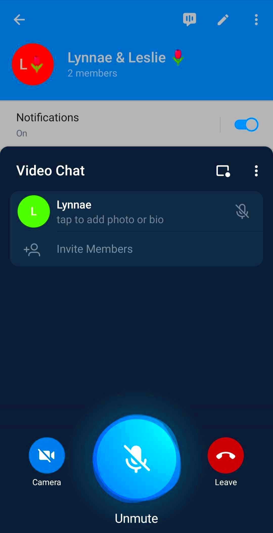 4 Features to Make the Most of Telegram Video Calls