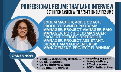 I Will Write a Program Manager, PMO, Project Manager, Agile Coach, and Scrum Master Resume