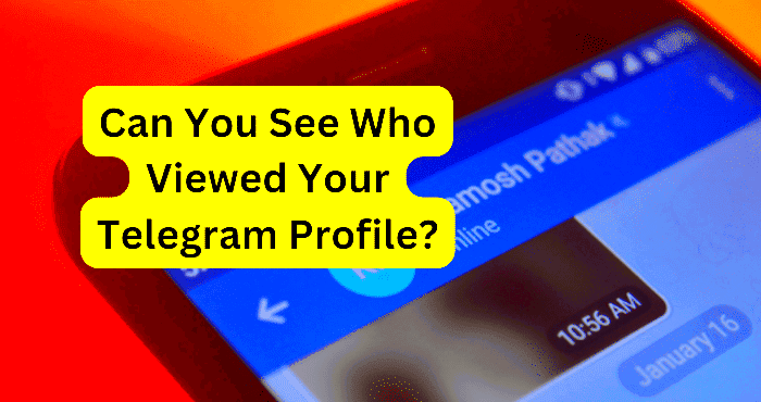 Can You See Who Viewed Your Telegram Profile  Techzillo