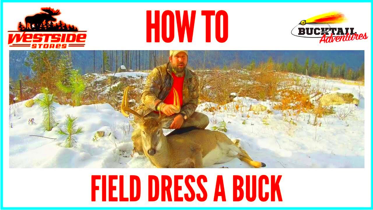 FIELD DRESSING A BUCK 2018  YouTube