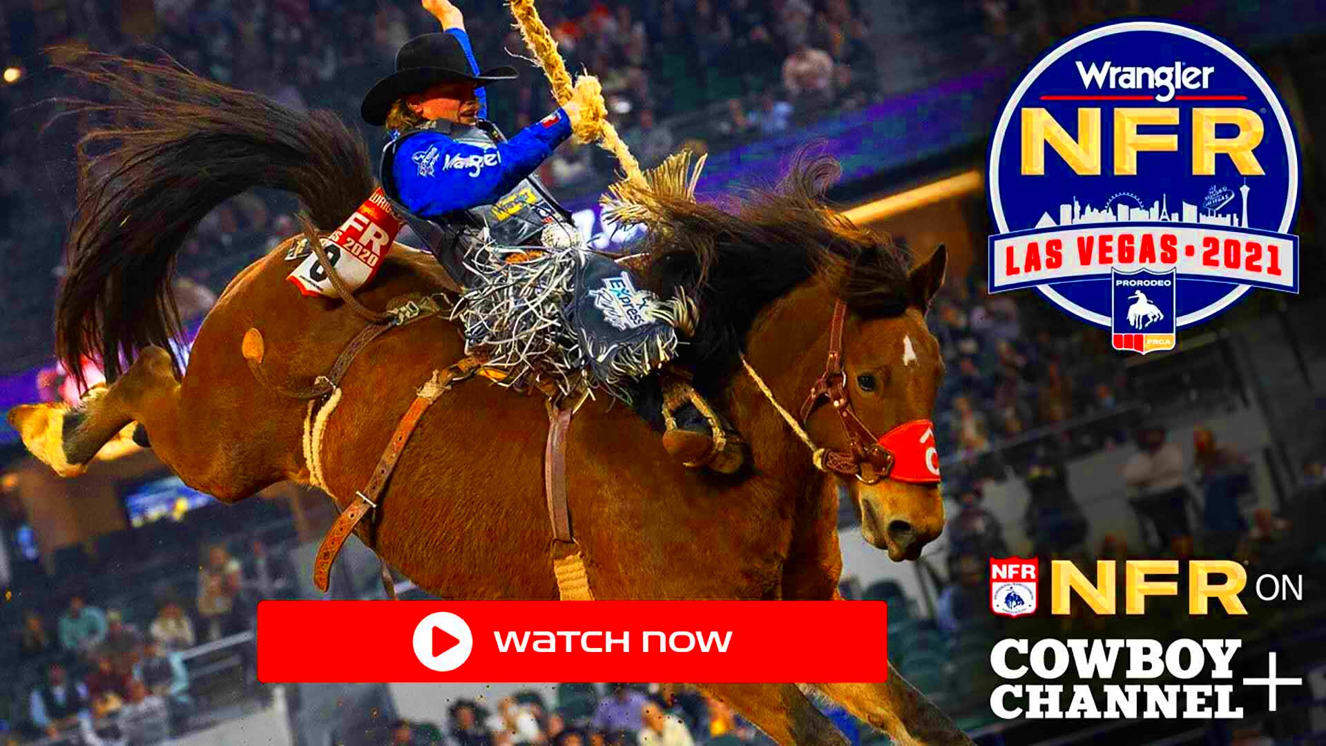 How to Watch NFR Rodeo 2021 Schedule Live Stream TV Channel 