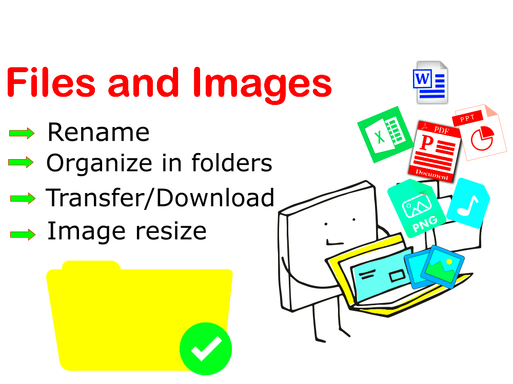 Image and file renaming organization and transfer services  Upwork