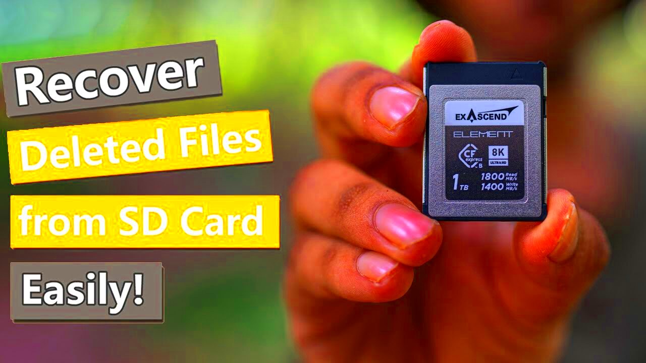 Free SD Card Recovery  How to Recover Deleted PhotosVideos from SD 