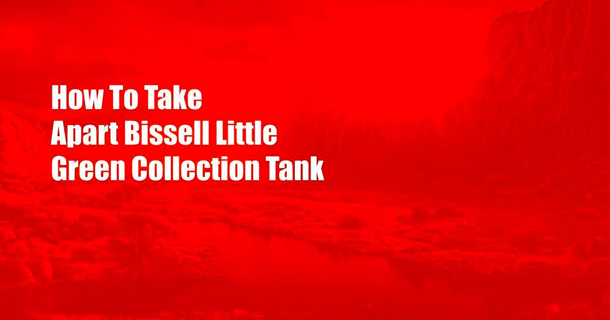 How To Take Apart Bissell Little Green Collection Tank