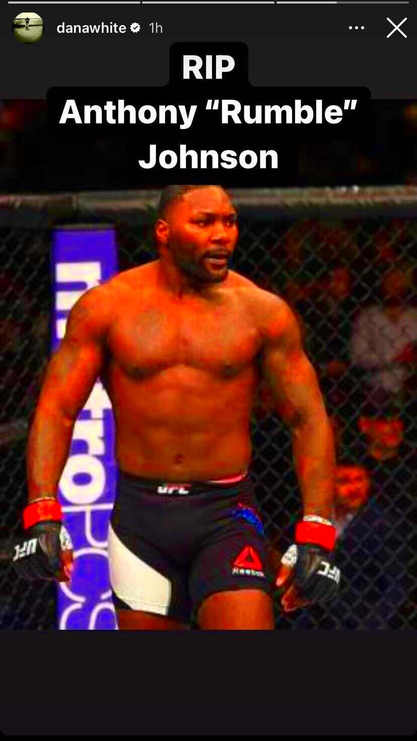 Anthony Rumble Johnson UFC Fighter Dead at 38  Entertainment Tonight