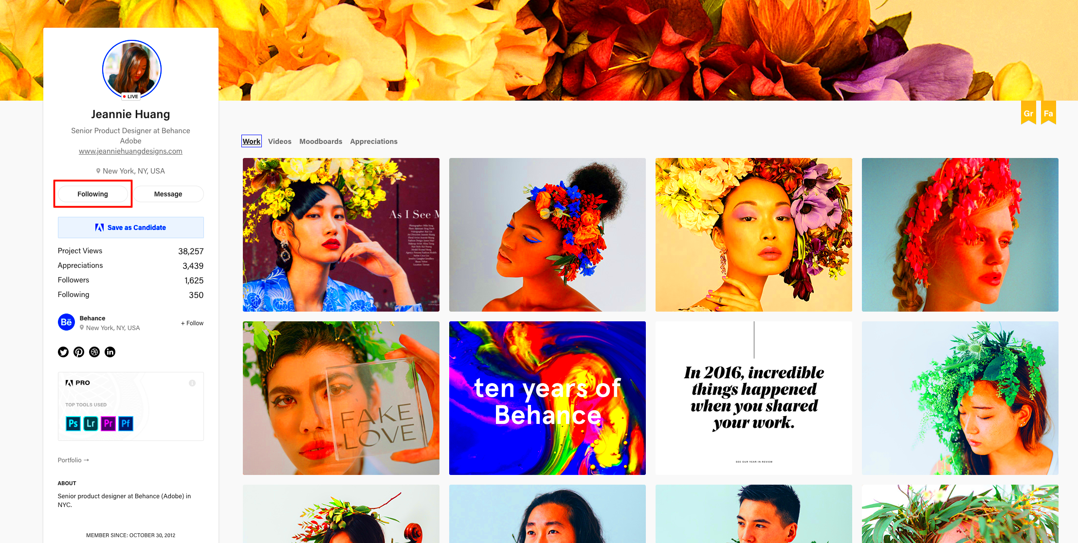 Guide Following Creatives On Behance  Behance Helpcenter