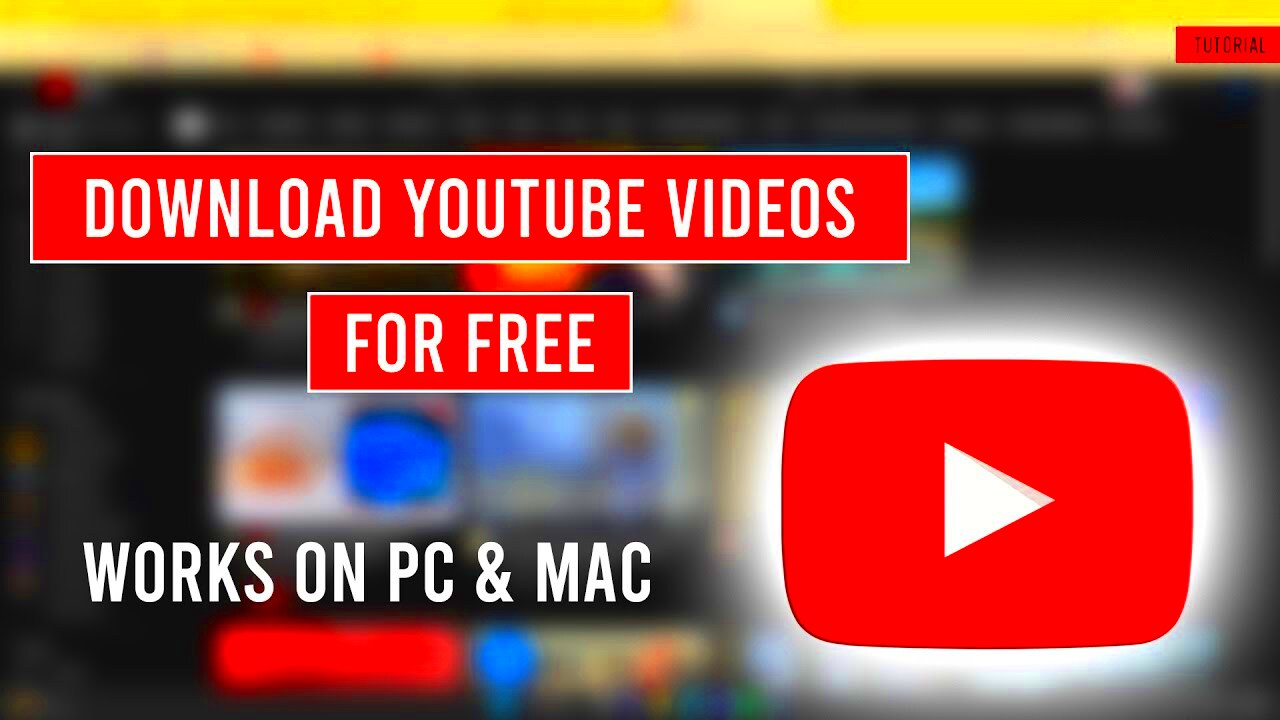 How to Download YouTube Videos for Free  YouTube