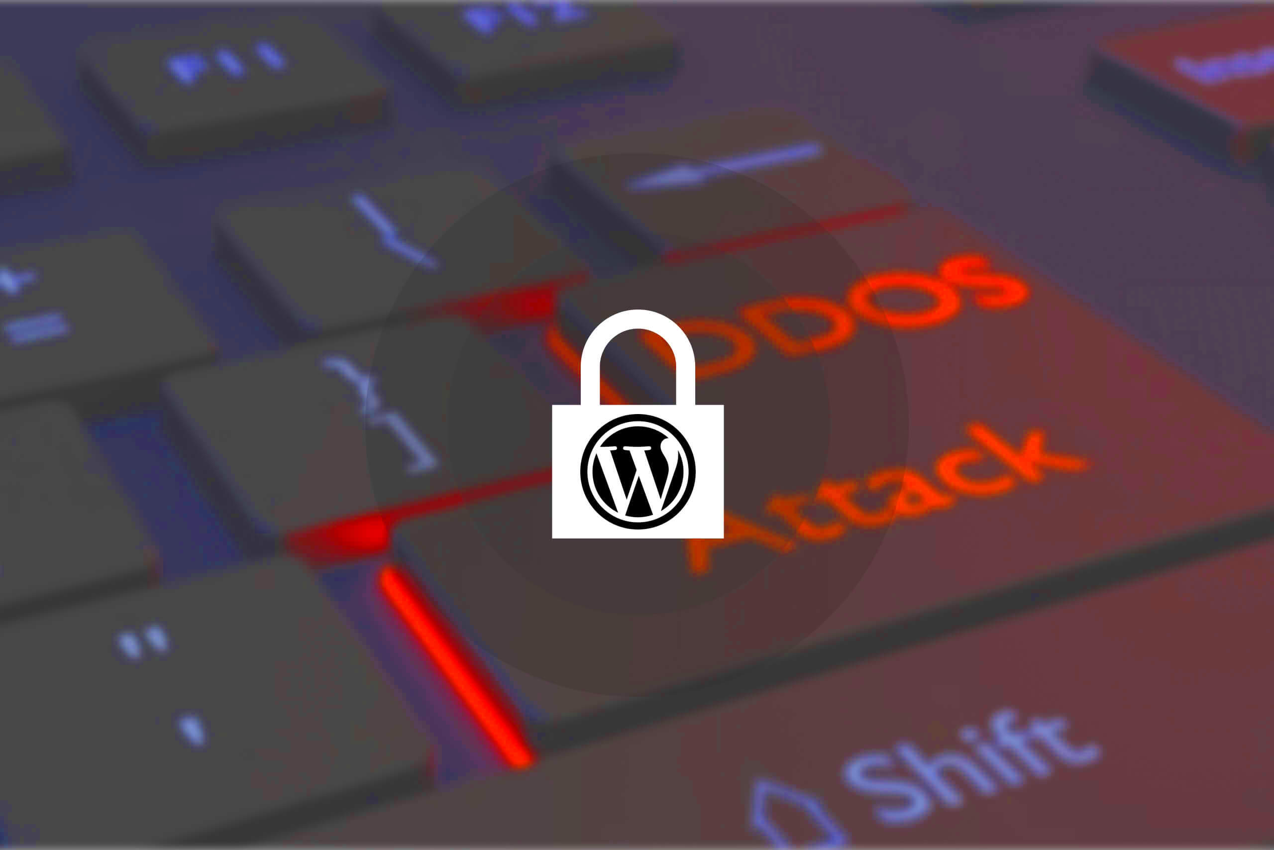 WordPress denialofservice DoS attacks how to protect your website 