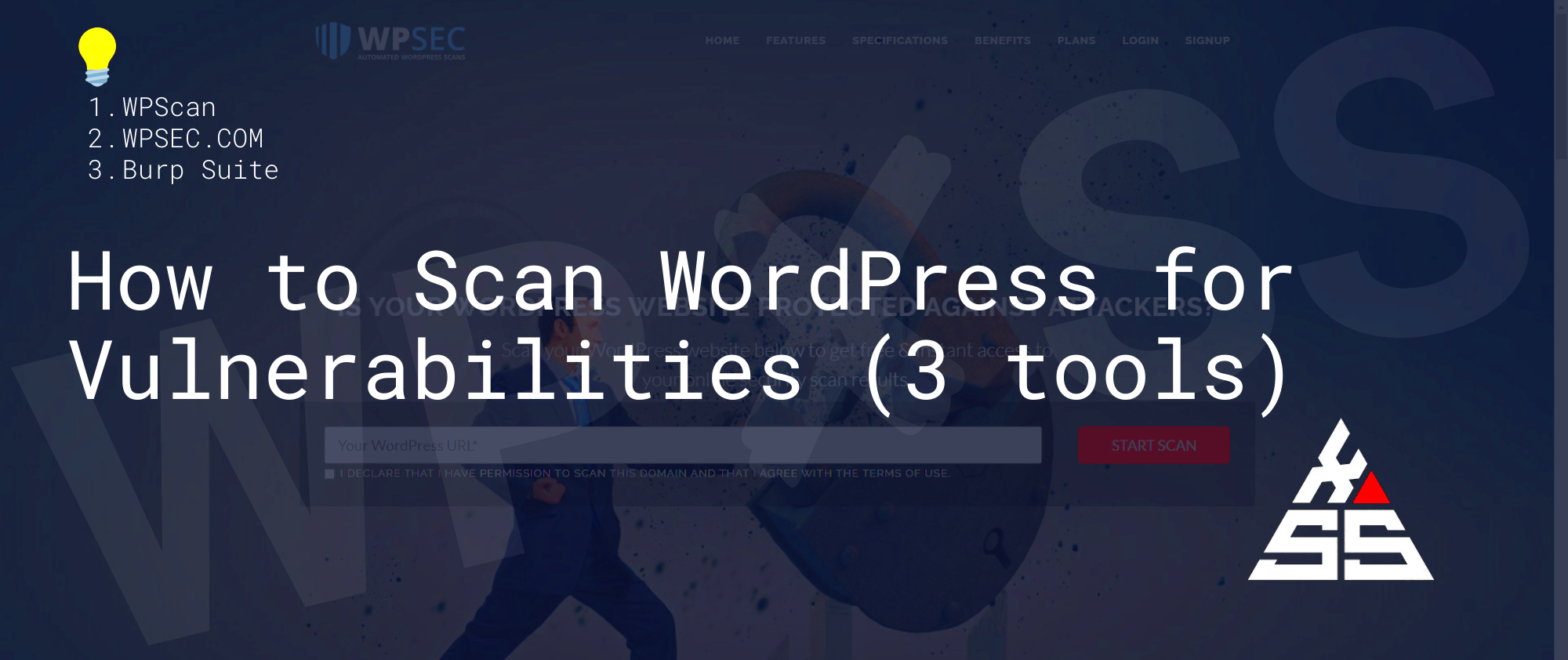 3 ways to Scan WordPress for Vulnerabilities wpXSS