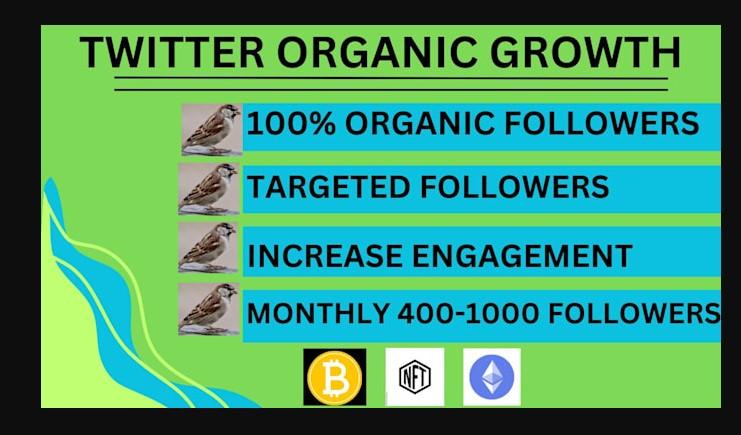 I will do super organic twitter growth for promotion and marketing for organic foliower