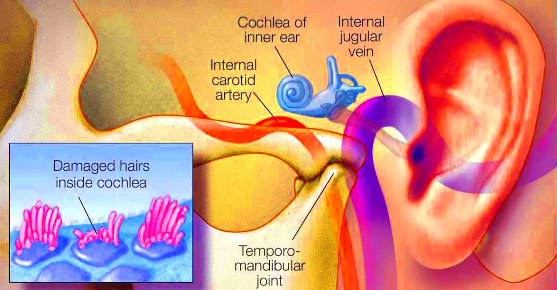 Tinnitus Professional Members  Toronto Tinnitus Clinic