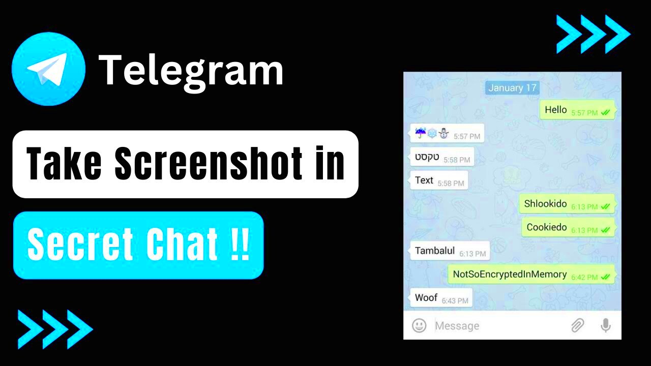 How To Take Screenshot In Telegram Secret Chat  EASY WAY  YouTube