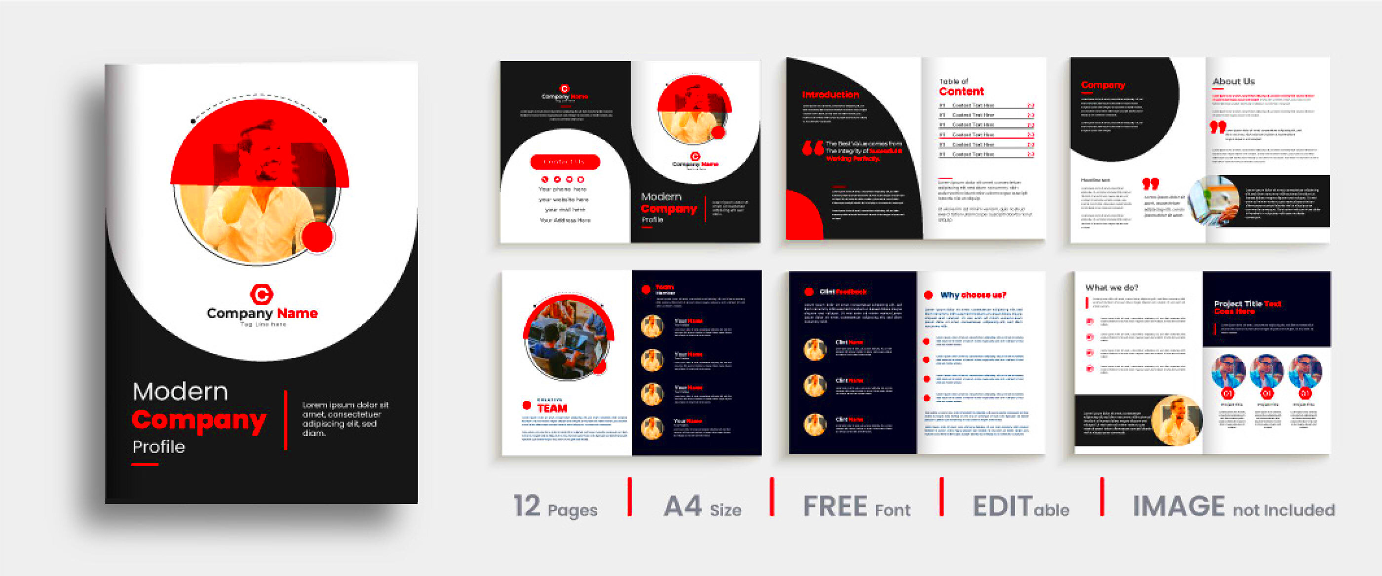 12 Page Modern Company Profile Design 2022  Behance