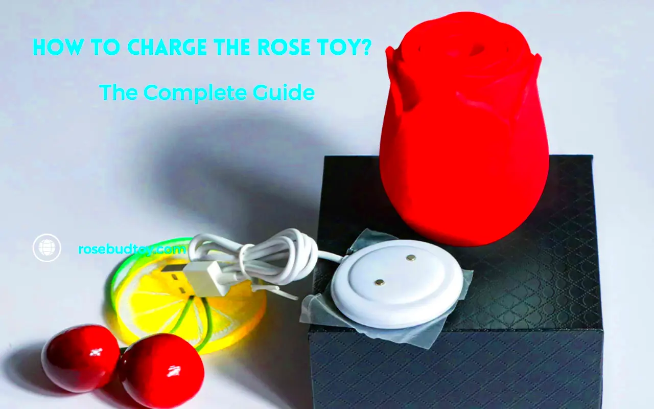 How to Charge the Rose Toy The Complete Guide  Rose Vibrator Official 