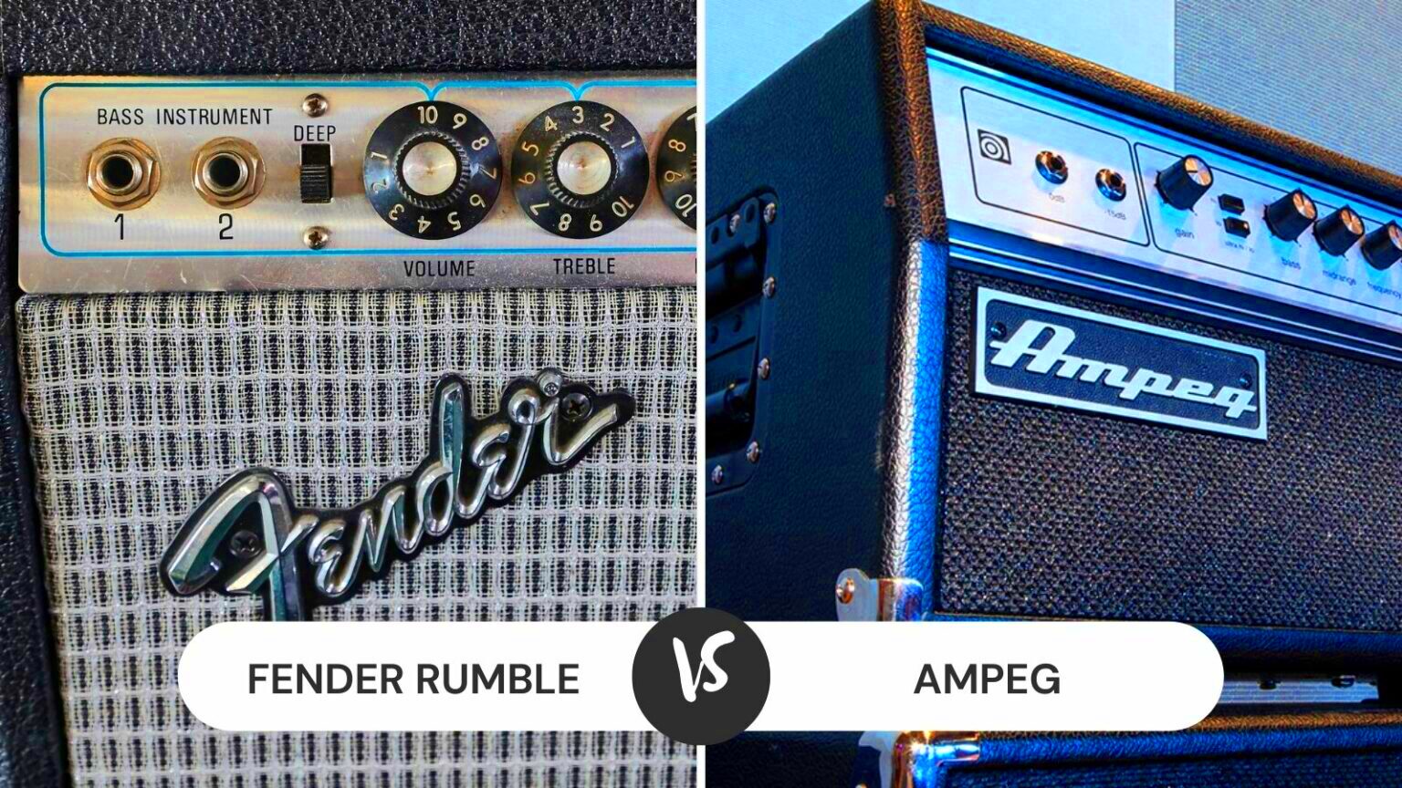 Fender Rumble vs Ampeg Which One Is Better  CMUSE