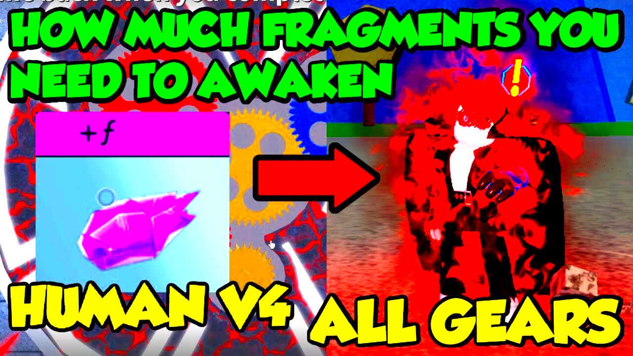 HOW MUCH FRAGMENTS TO AWAKEN HUMAN V4 ALL GEARS  BLOX FRUITS  YouTube