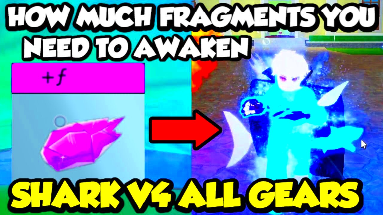 HOW MUCH FRAGMENTS TO AWAKEN SHARK V4 ALL GEARS  BLOX FRUITS  YouTube