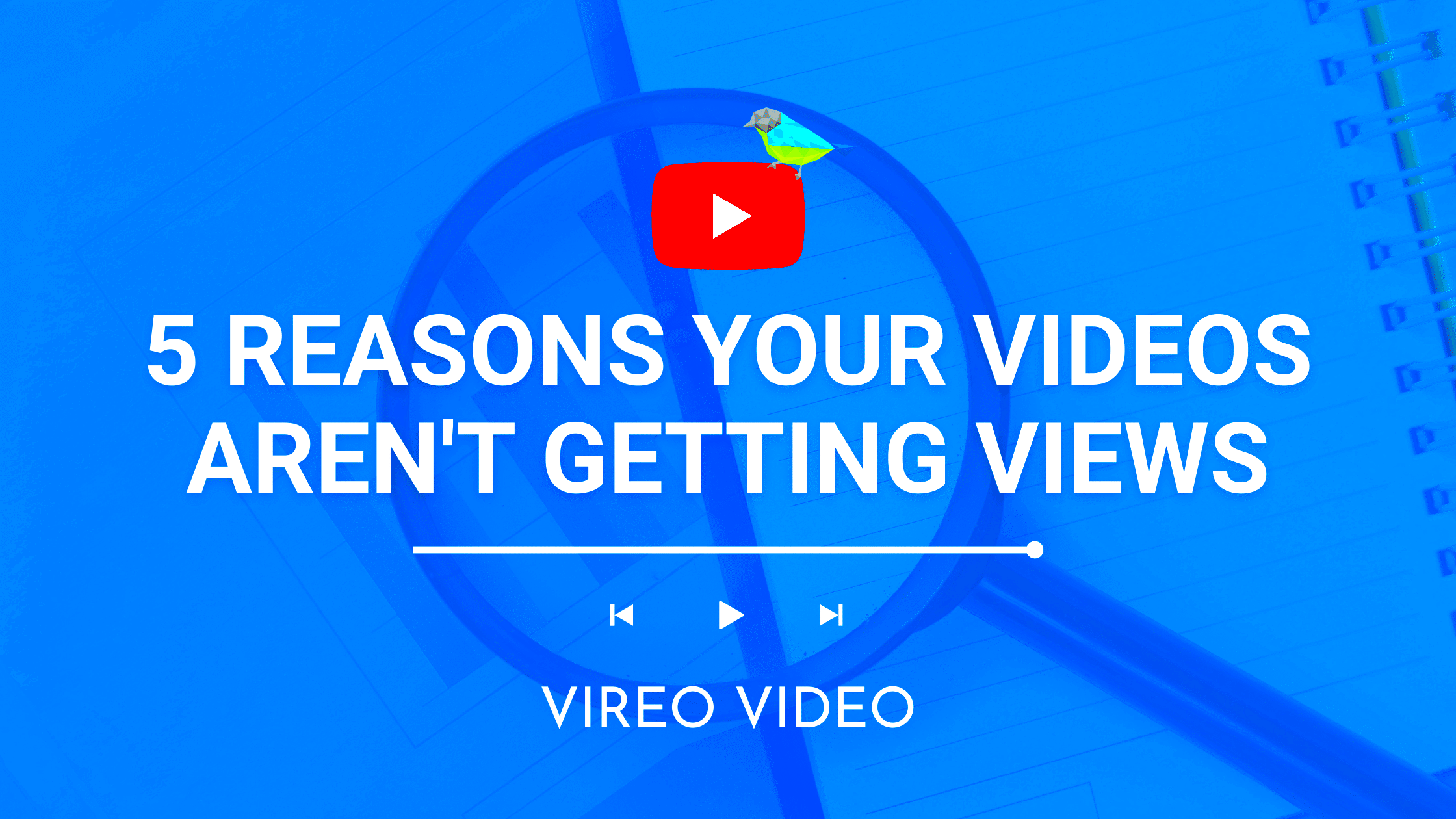 5 Reasons Why Your Videos Arent Getting Views  Vireo Video