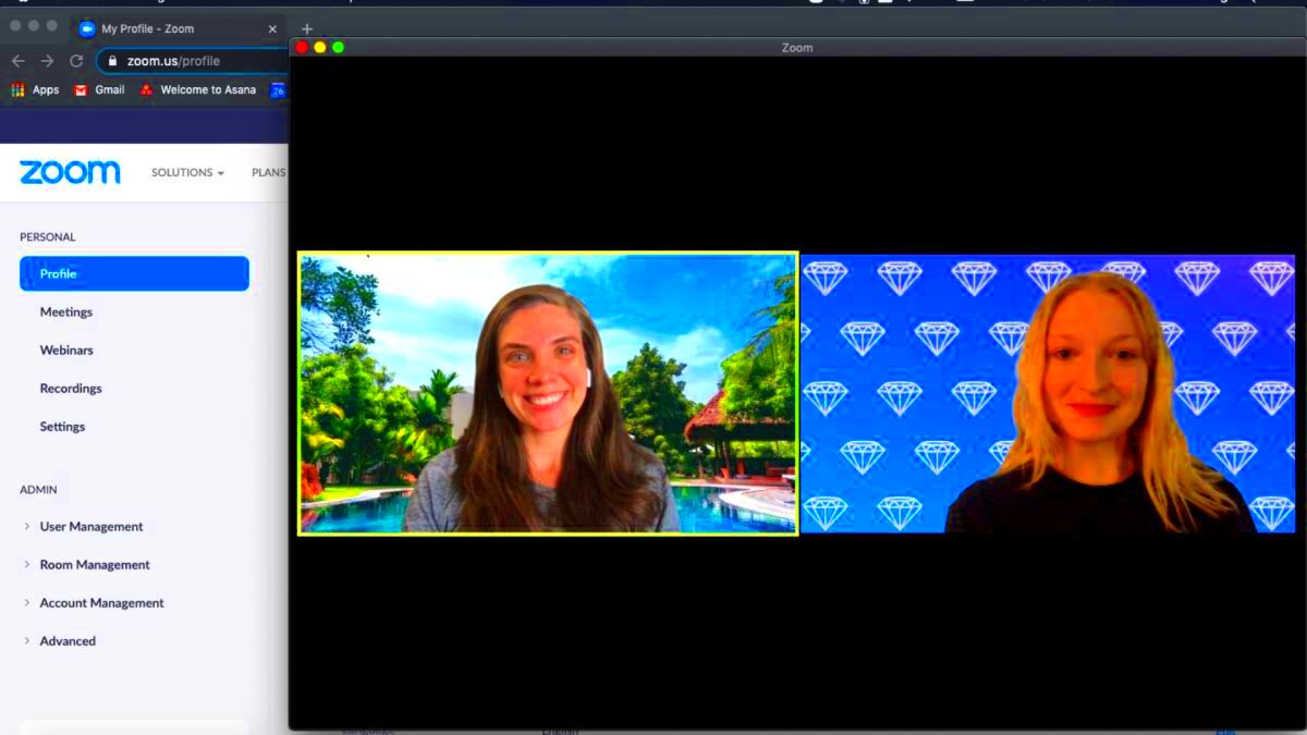 How to Create and Use Virtual Backgrounds in Zoom  Finalsite Blog